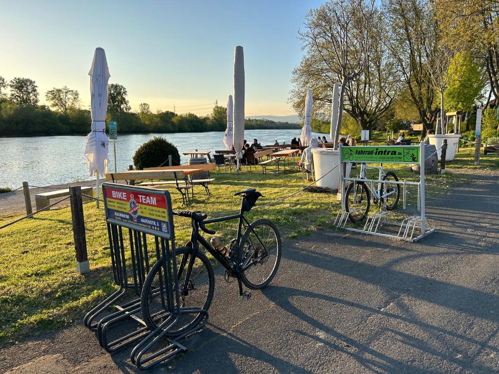Mainufer mit Biergarten