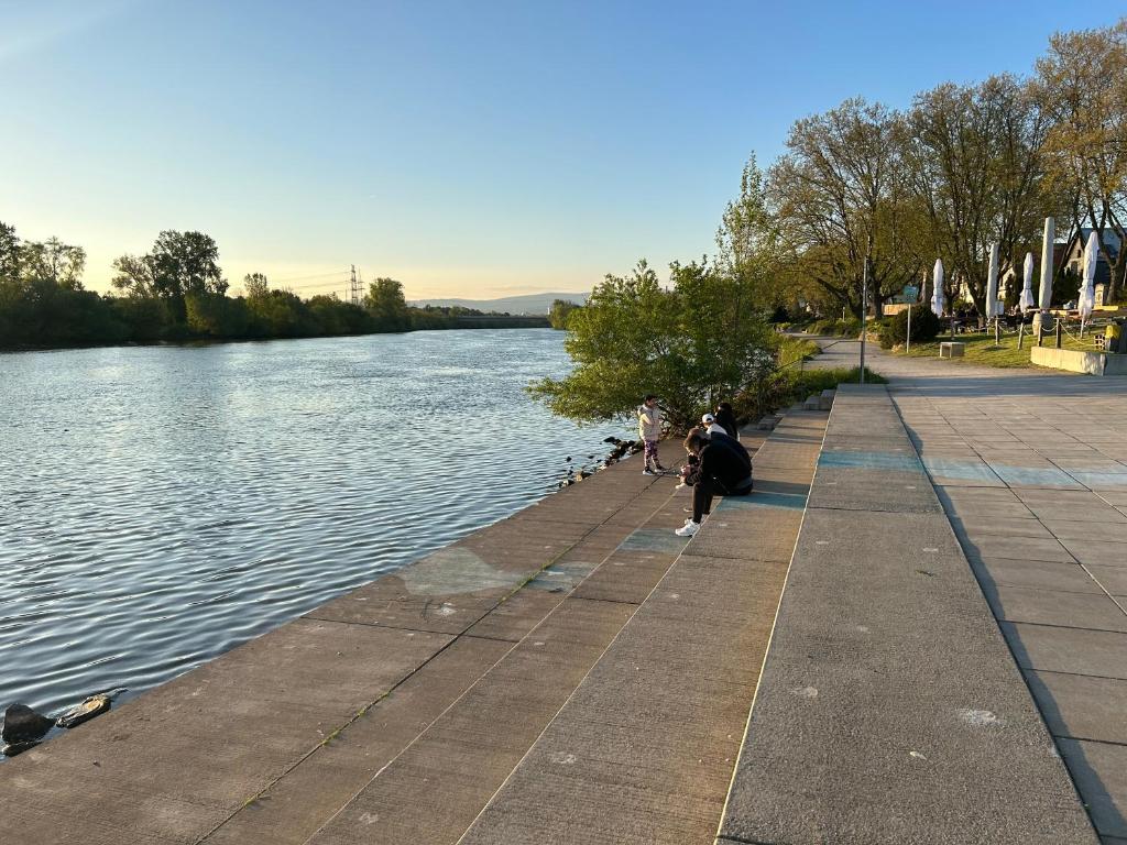 Promenade am Mainufer